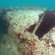 Image for article titled A Rare Glimpse of a US Seaplane Lost In the First Minutes of the Pearl Harbor Attack